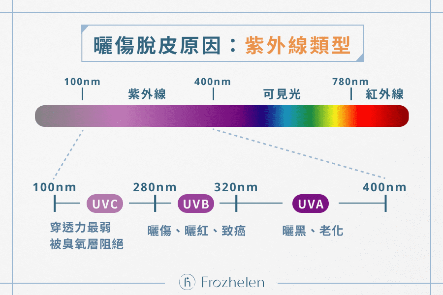 曬傷脫皮原因：紫外線類型